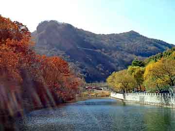 安丘大蔥最新價(jià)格與叢臺(tái)酒價(jià)格表解析，實(shí)時(shí)更新，百度權(quán)威數(shù)據(jù)來(lái)源
