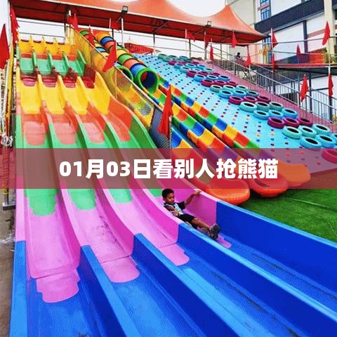熊貓搶先看，元旦新景象
