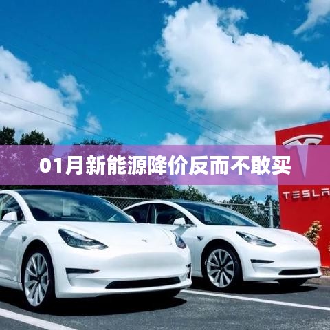 新能源降價(jià)引發(fā)觀望心態(tài)，消費(fèi)者猶豫待購
