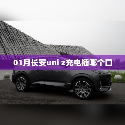 第1695頁