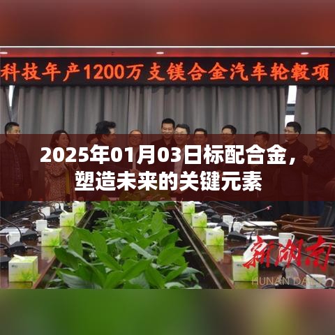 標配合金，塑造未來關(guān)鍵元素，2025年展望