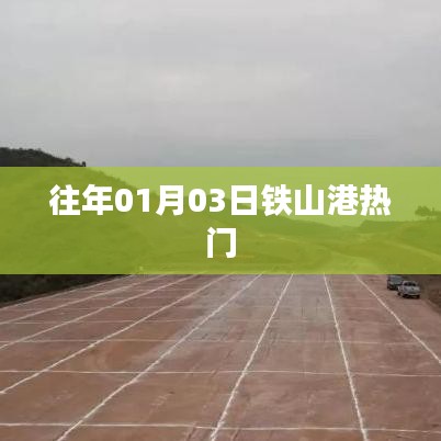 鐵山港元旦后熱度概覽，歷年一月初的熱門事件回顧