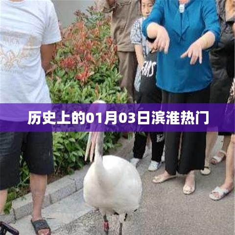 第1672頁(yè)