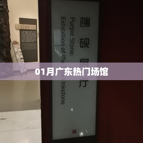 廣東一月熱門場館盤點