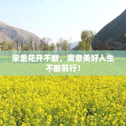 家里花開不斷，寓意美好人生不斷前行！