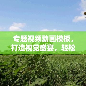 專題視頻動畫模板，打造視覺盛宴，輕松吸引眼球！