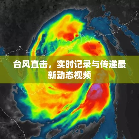 臺風(fēng)直擊，實時記錄與傳遞最新動態(tài)視頻