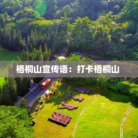 東張西望 第4頁