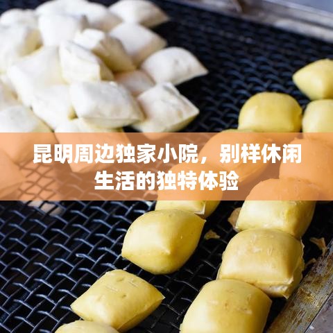昆明周邊獨(dú)家小院，別樣休閑生活的獨(dú)特體驗(yàn)