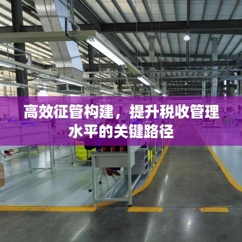 高效征管構(gòu)建，提升稅收管理水平的關(guān)鍵路徑