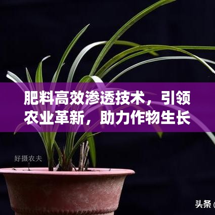 肥料高效滲透技術(shù)，引領(lǐng)農(nóng)業(yè)革新，助力作物生長(zhǎng)新動(dòng)力
