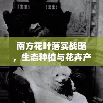 南方花葉落實(shí)戰(zhàn)略，生態(tài)種植與花卉產(chǎn)業(yè)繁榮之路