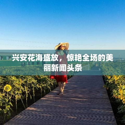 興安花海盛放，驚艷全場的美麗新聞頭條