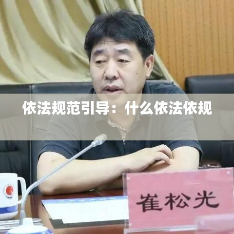 依法規(guī)范引導(dǎo)：什么依法依規(guī) 