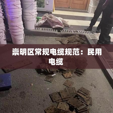 風(fēng)流儒雅 第3頁