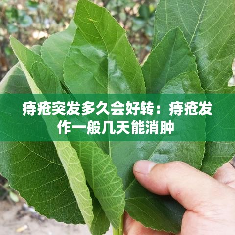 痔瘡?fù)话l(fā)多久會(huì)好轉(zhuǎn)：痔瘡發(fā)作一般幾天能消腫 