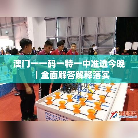 澳門一一碼一特一中準(zhǔn)選今晚｜全面解答解釋落實(shí)