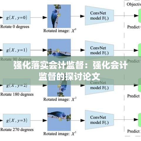 強(qiáng)化落實(shí)會(huì)計(jì)監(jiān)督：強(qiáng)化會(huì)計(jì)監(jiān)督的探討論文 
