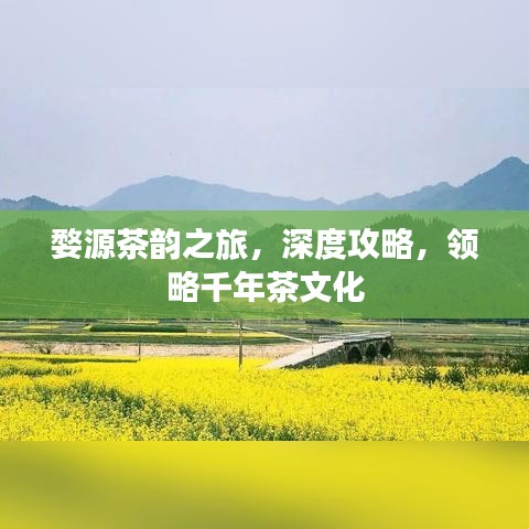 婺源茶韻之旅，深度攻略，領(lǐng)略千年茶文化