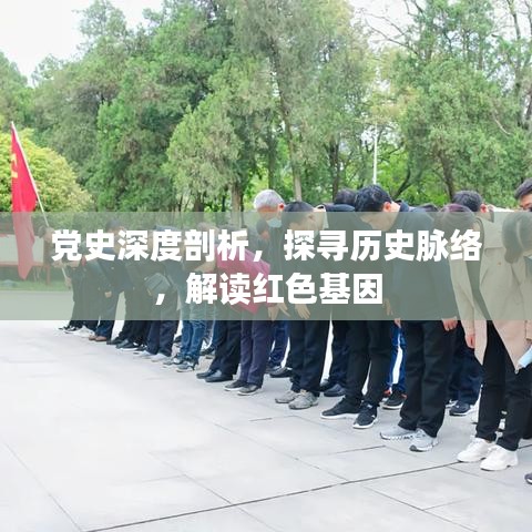 黨史深度剖析，探尋歷史脈絡(luò)，解讀紅色基因