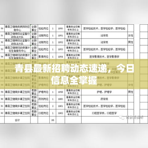 青縣最新招聘動(dòng)態(tài)速遞，今日信息全掌握