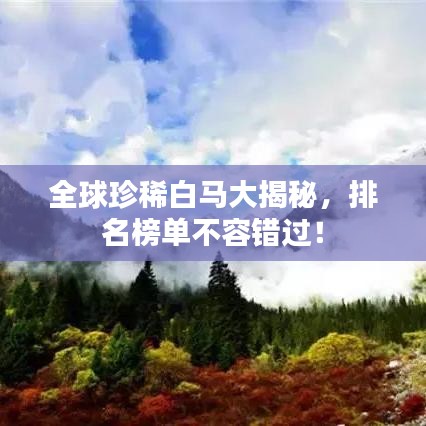 全球珍稀白馬大揭秘，排名榜單不容錯過！