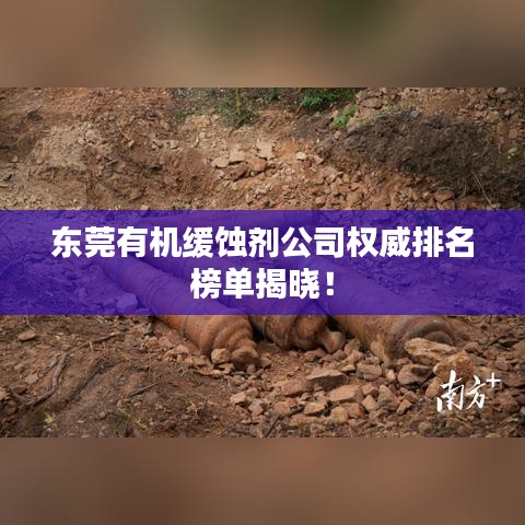 忠心耿耿 第3頁
