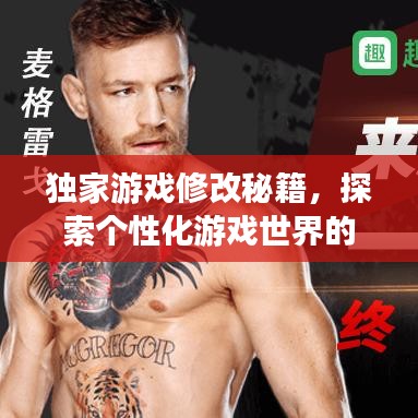 獨(dú)家游戲修改秘籍，探索個(gè)性化游戲世界的無(wú)限奧秘