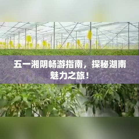 五一湘陰暢游指南，探秘湖南魅力之旅！