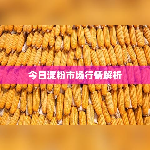 插翅難飛 第4頁(yè)