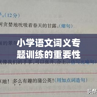 小學語文詞義專題訓練的重要性與策略解析
