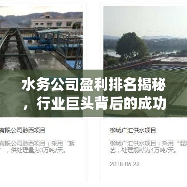 水務(wù)公司盈利排名揭秘，行業(yè)巨頭背后的成功秘訣大揭秘！