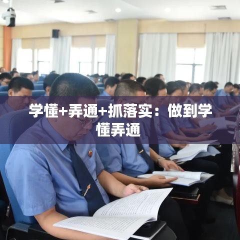 學(xué)懂+弄通+抓落實(shí)：做到學(xué)懂弄通 