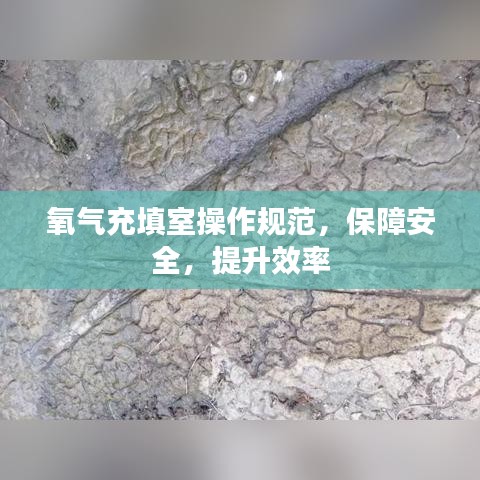 氧氣充填室操作規(guī)范，保障安全，提升效率
