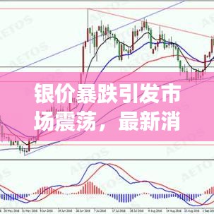 鋪張揚(yáng)厲 第3頁