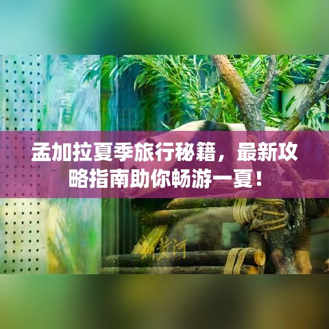 孟加拉夏季旅行秘籍，最新攻略指南助你暢游一夏！