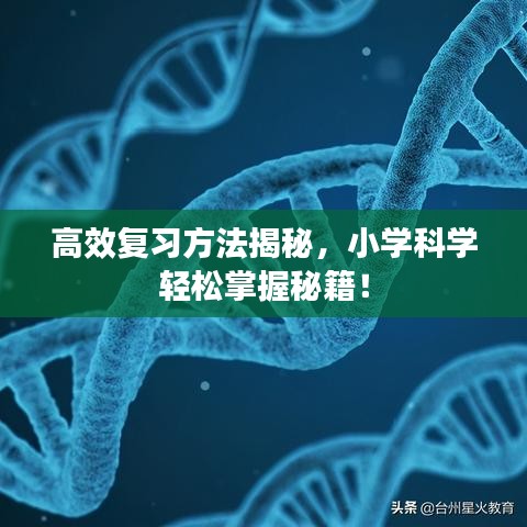 高效復習方法揭秘，小學科學輕松掌握秘籍！