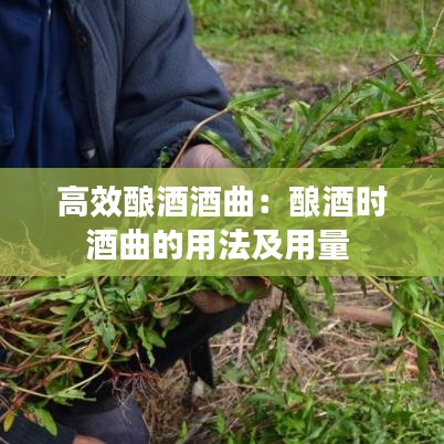 高效釀酒酒曲：釀酒時酒曲的用法及用量 