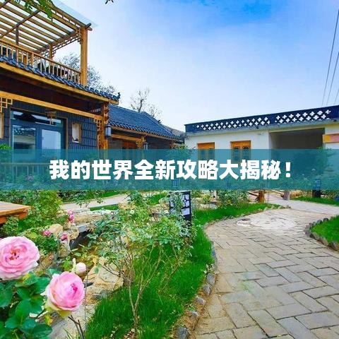 我的世界全新攻略大揭秘！