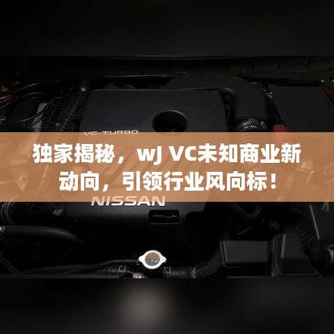 獨家揭秘，wJ VC未知商業(yè)新動向，引領(lǐng)行業(yè)風向標！
