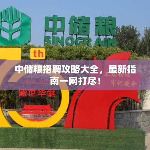 中儲(chǔ)糧招聘攻略大全，最新指南一網(wǎng)打盡！