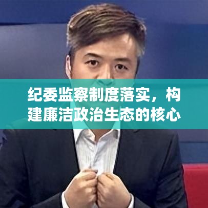 紀(jì)委監(jiān)察制度落實(shí)，構(gòu)建廉潔政治生態(tài)的核心基石