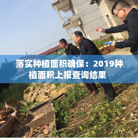 落實(shí)種植面積確保：2019種植面積上報(bào)查詢結(jié)果 