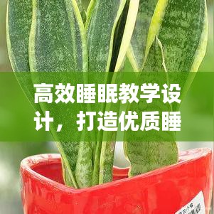 高效睡眠教學(xué)設(shè)計(jì)，打造優(yōu)質(zhì)睡眠模式，提升身心健康質(zhì)量