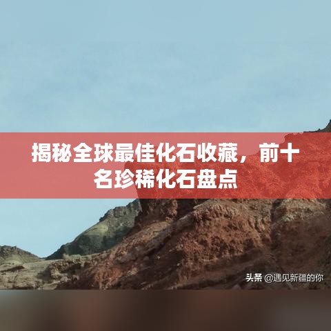 揭秘全球最佳化石收藏，前十名珍稀化石盤點(diǎn)