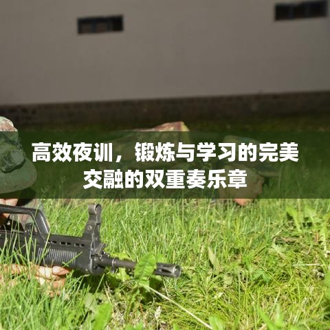 高效夜訓(xùn)，鍛煉與學(xué)習(xí)的完美交融的雙重奏樂章