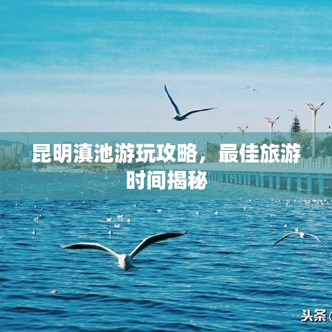 昆明滇池游玩攻略，最佳旅游時間揭秘
