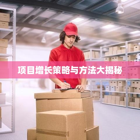 項(xiàng)目增長(zhǎng)策略與方法大揭秘