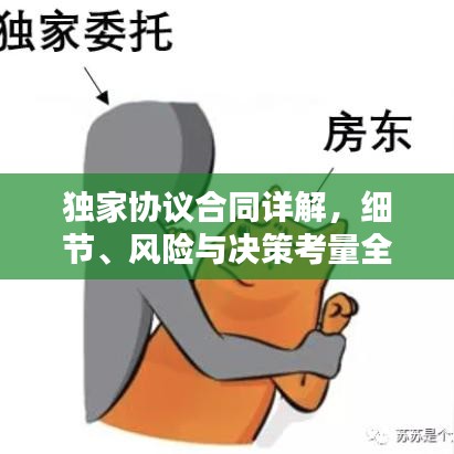獨家協議合同詳解，細節(jié)、風險與決策考量全攻略
