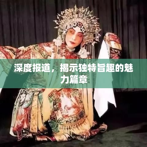 深度報(bào)道，揭示獨(dú)特旨趣的魅力篇章